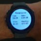 Garmin Forerunner 245 raceprognose