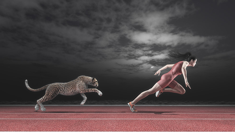 Cheetah hardlopen