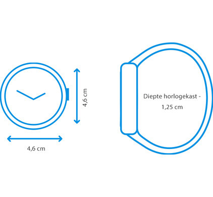 Polar Vantage M afmetingen