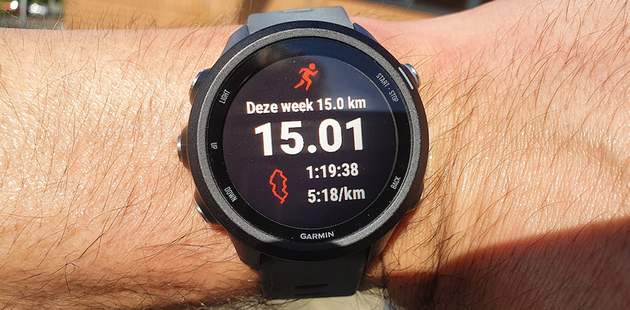 Garmin Forerunner 245 afleesbaar