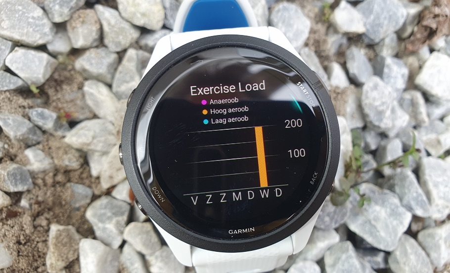 Forerunner 265 Exercise Load