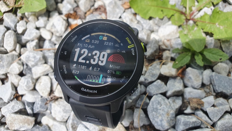 Forerunner 55 watchface data stenen