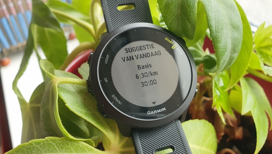 Forerunner 55 workoutsuggestie