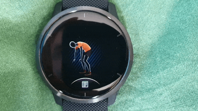 Garmin Venu 2 burpee