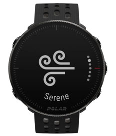 Polar Vantage M2 serene