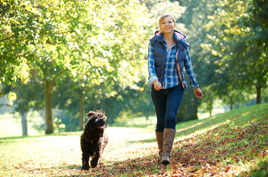 Wandelen met hond